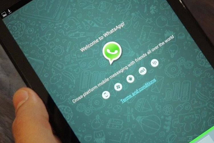 Spy WhatsApp